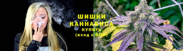 первитин Белокуриха
