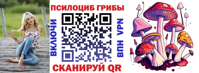 Галлюциногенные грибы Psilocybe  даркнет сайт  Новая Ладога 