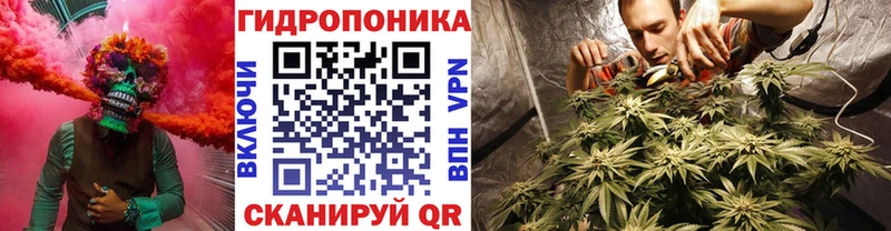 Конопля LSD WEED  Новая Ладога 